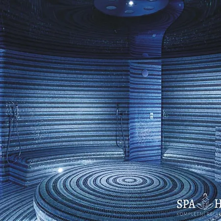Mensi Apartman Resident C307 - Pokoj 1kk S Velkym Balkonem A Kuchynskym Koutem Lejlighed Harrachov